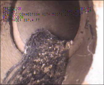 Image of damaged sewage pipe with roots or twigs and soil 5