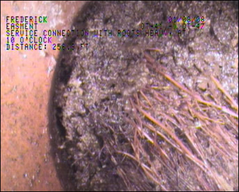 Image of damaged sewage pipe with roots or twigs and soil 2