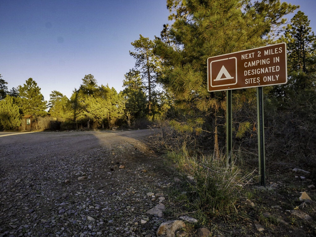 A forest path with a camping sign indicating designated sites for the next 2 miles.