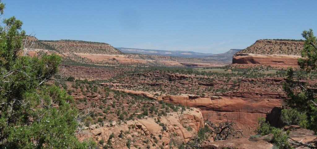 A desert canyon landscape with rugged cliffs and sparse vegetation under a clear blue sky.