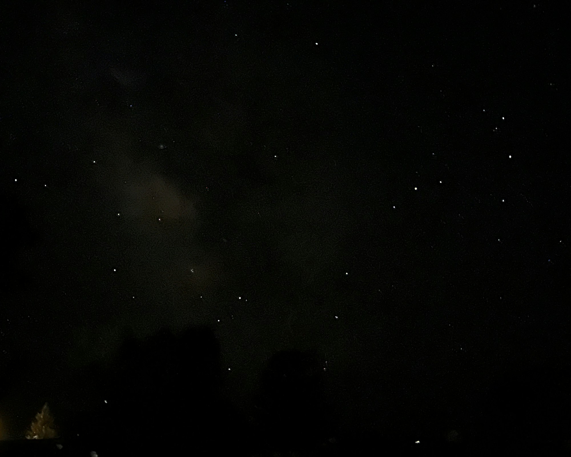 A starry night sky with a faint hint of the Milky Way and silhouettes of trees in the foreground.