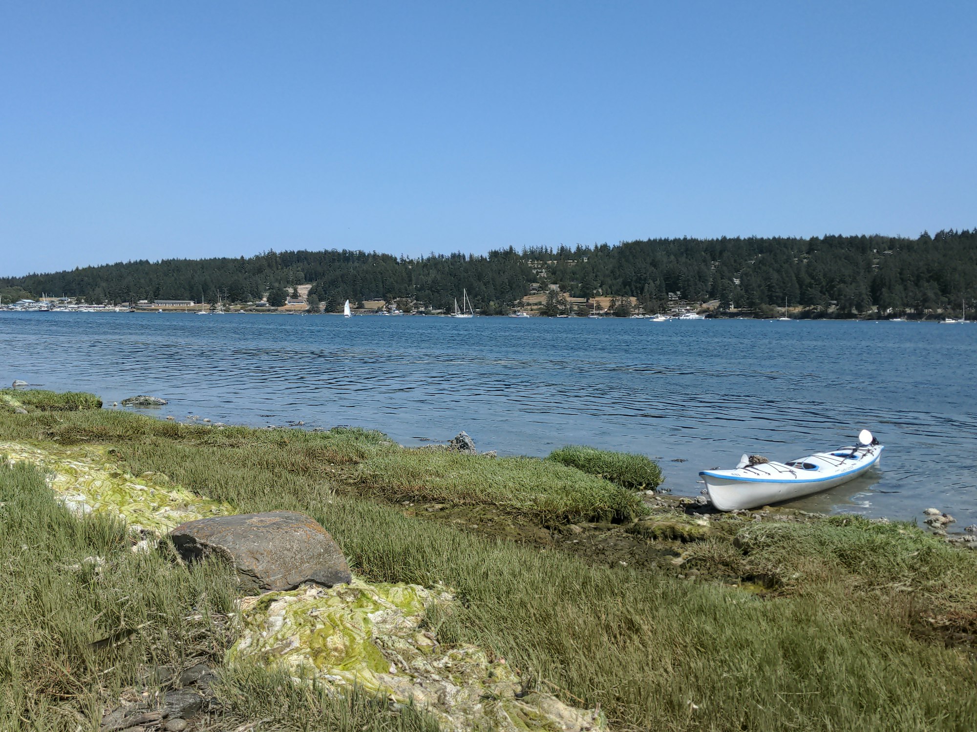 A kayak on a grassy shoreline with a calm water body and forested background under a clear blue sky.