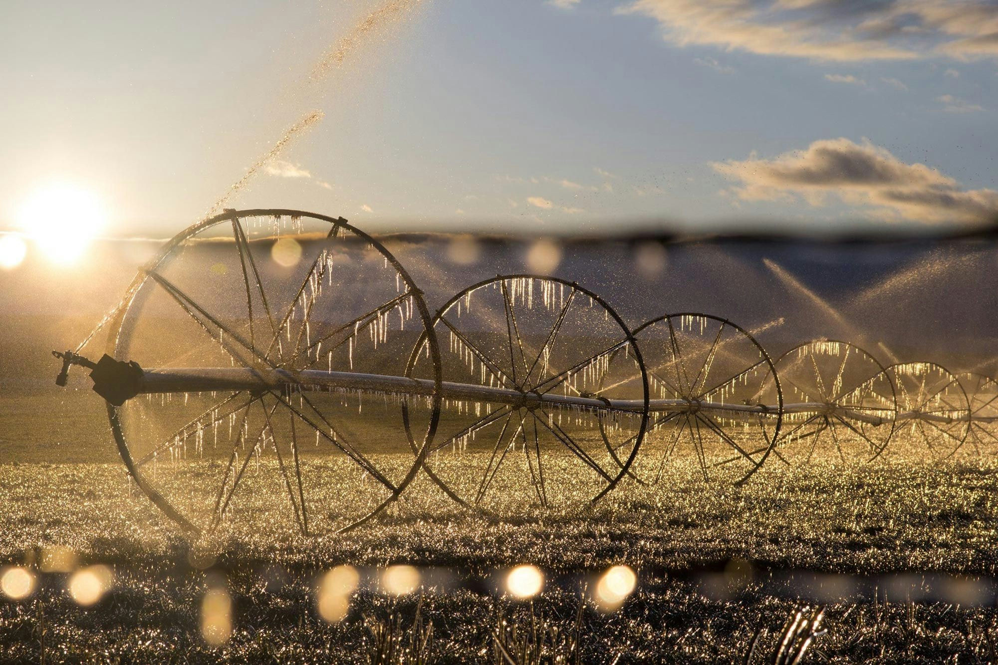 Irrigation wheel line in a frosty field with sunrise and water turning into icicles.