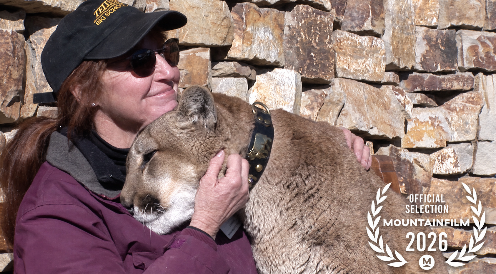 A woman lovingly embraces a large cat against a stone wall, with a "Mountainfilm 2026" selection logo in the corner.