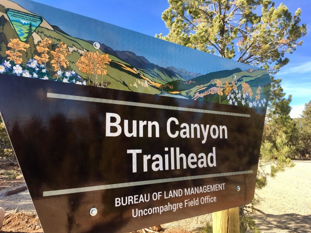 May contain: plant, vegetation, grass, nature, outdoors, park, land, tree, woodland, grove, animal, zoo, advertisement, sign, and symbol