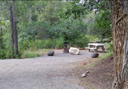 A picnic site with a table, benches, a grill, surrounded by trees and greenery.