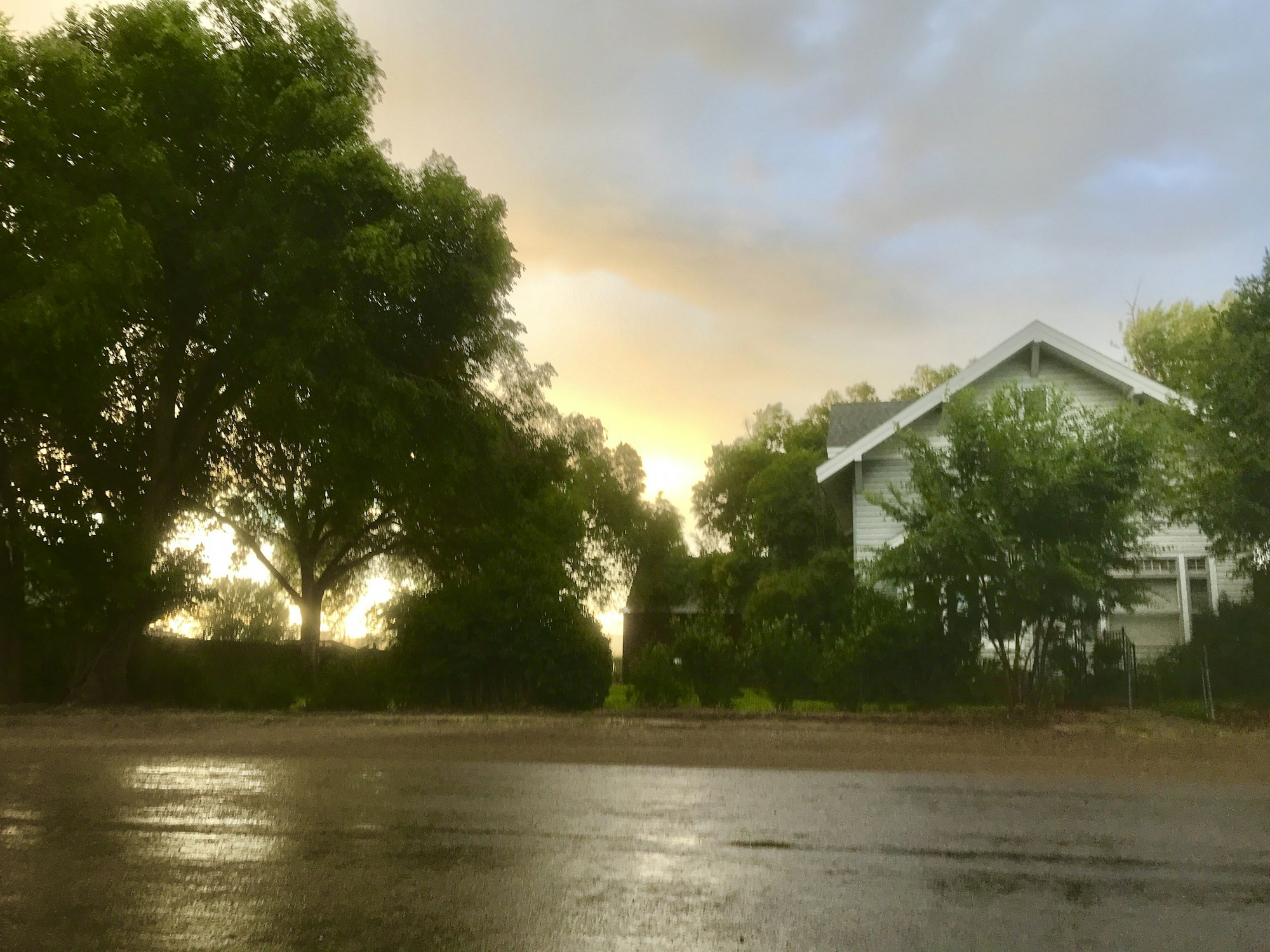 A serene scene featuring green trees, a white house, and a reflective wet road under a cloudy sky with a hint of sunset.