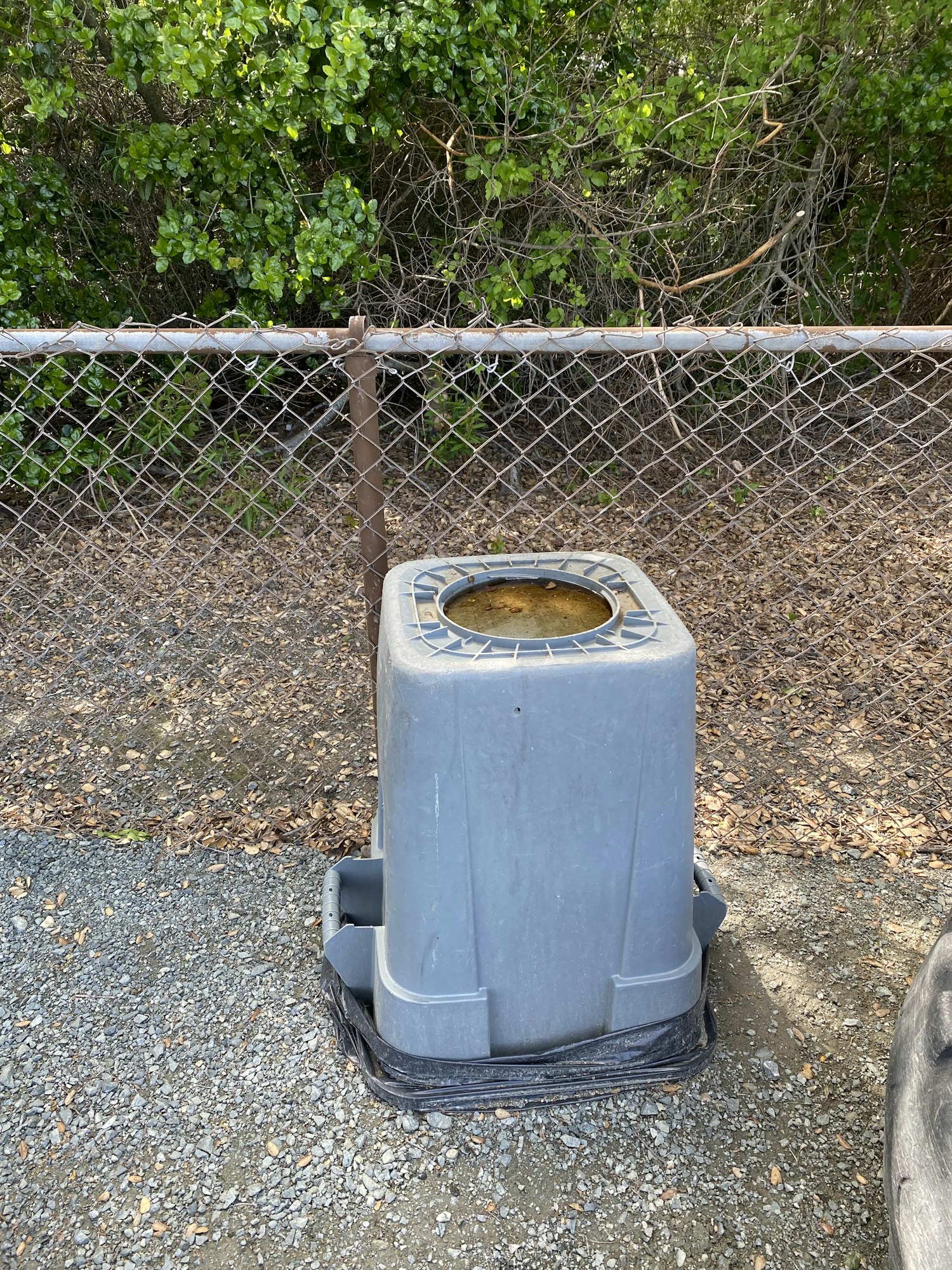 May contain: tin and road