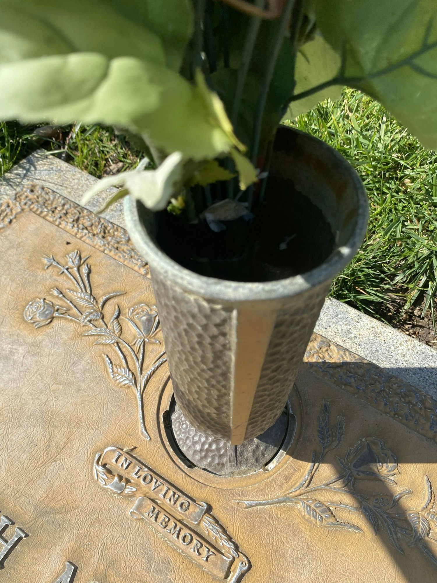 May contain: pottery, jar, vase, plant, potted plant, and planter