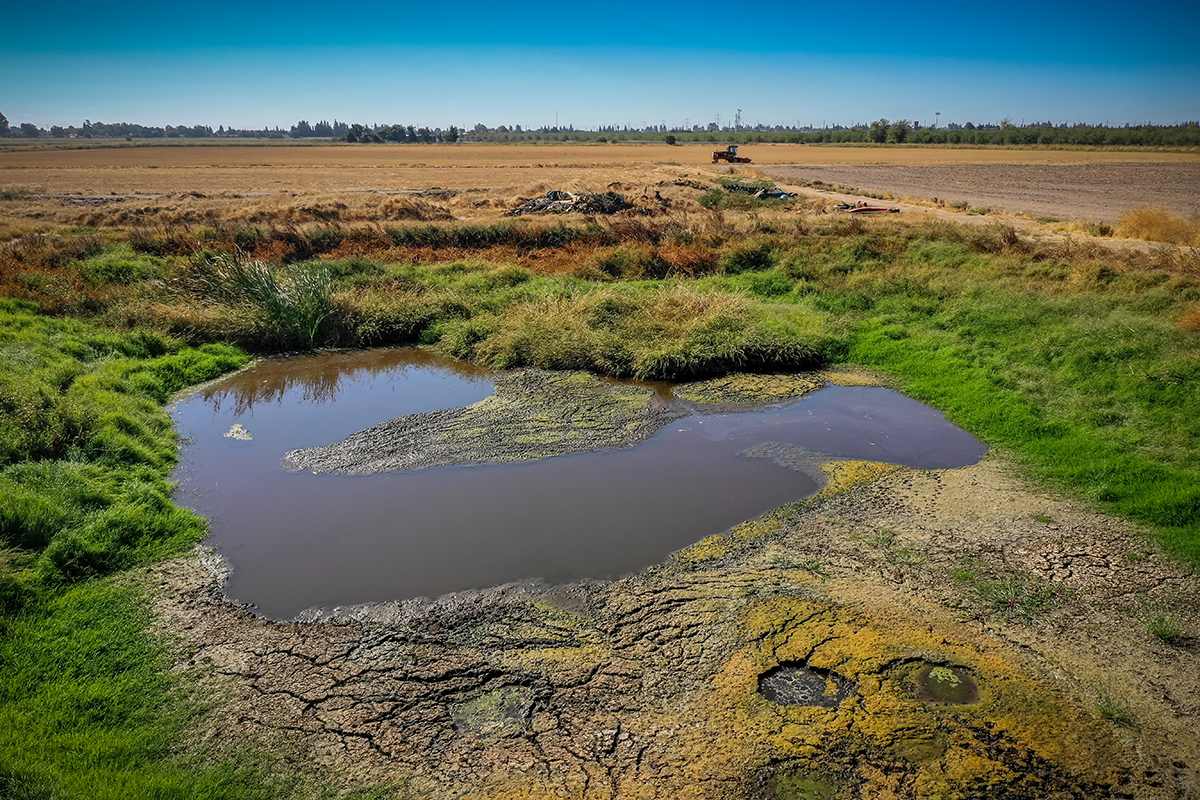 May contain: land, nature, outdoors, water, swamp, bog, and marsh