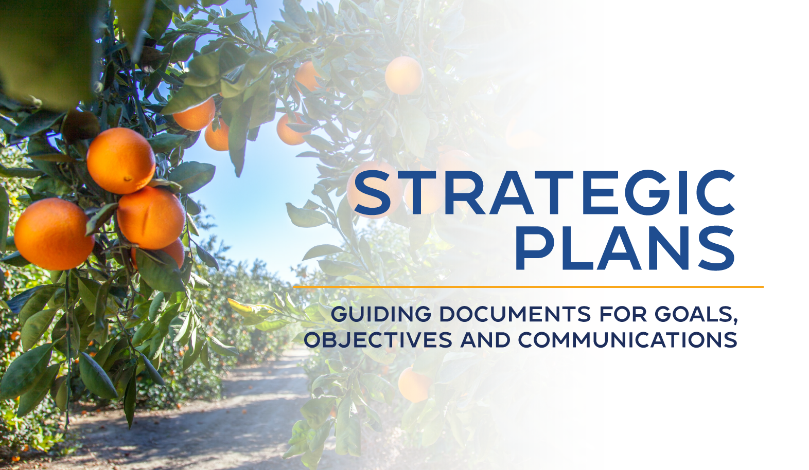 Oranges on a tree with text: "STRATEGIC PLANS: Guiding documents for goals, objectives and communications."
