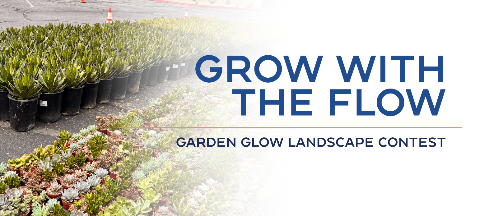 A display of potted plants for the "Grow with the Flow" Garden Glow Landscape Contest.