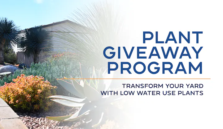 May contain: Succulent garden, nature, outdoors, plant, and vegetation. Text reads: Plant Giveaway Program