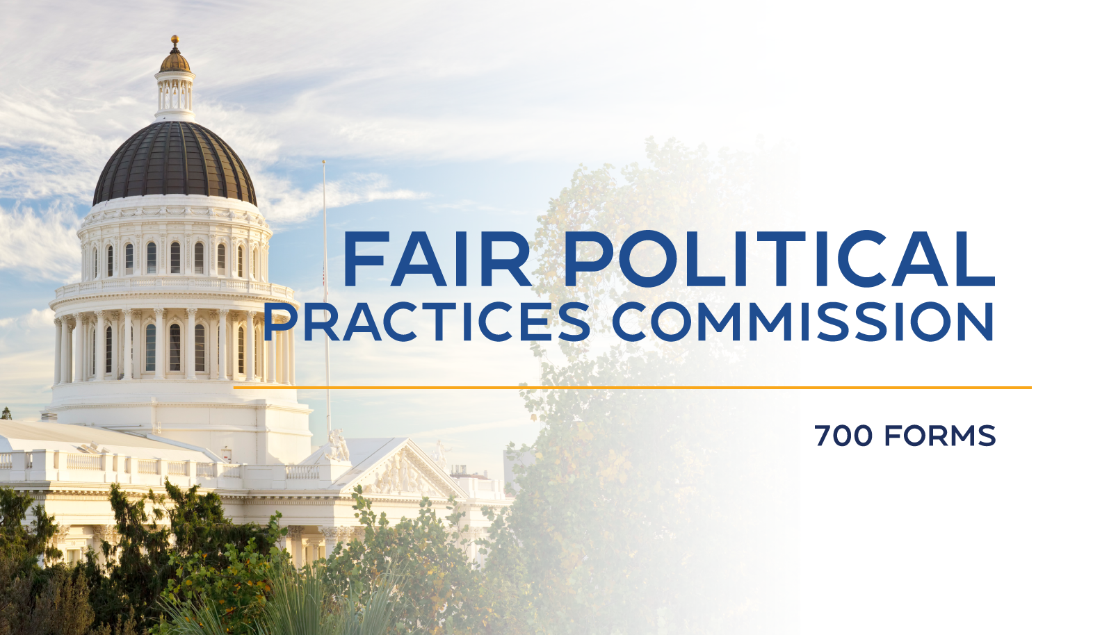 The image features a dome structure with the text "Fair Political Practices Commission" and "700 forms."