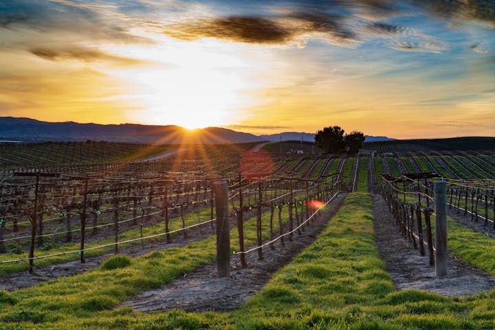 May contain: flare, light, nature, outdoors, countryside, farm, and rural