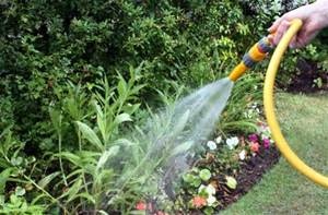 A person is watering plants in a garden using a yellow hose. Flowers and shrubs are visible in the background.