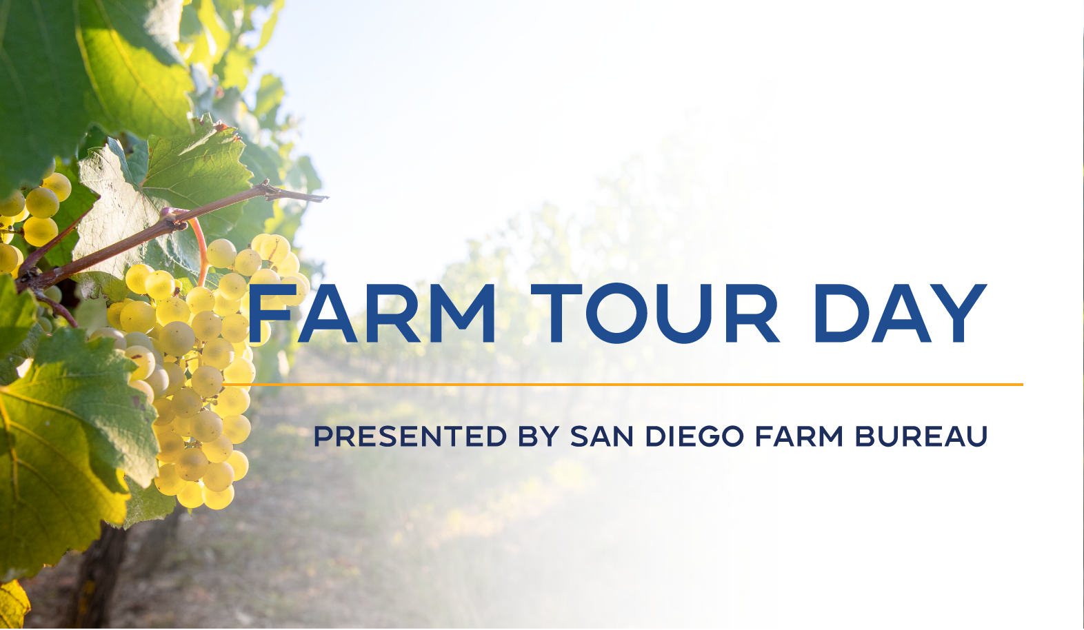 The image promotes a "Farm Tour Day" event, presented by the San Diego Farm Bureau, featuring grapes.