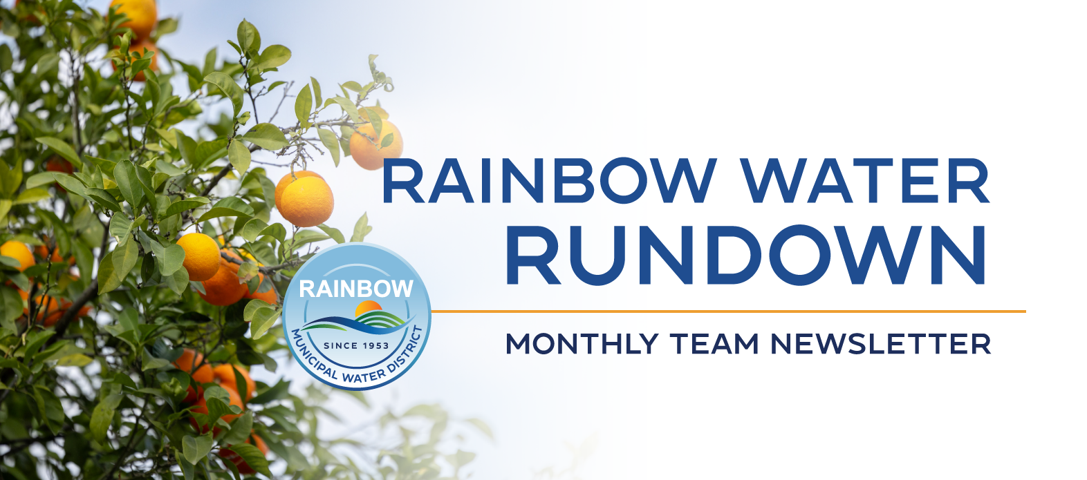 The image features a monthly newsletter titled "Rainbow Water Rundown" with an orange tree backdrop, promoting the Rainbow Municipal Water District.