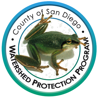 May contain: animal, frog, wildlife, and amphibian