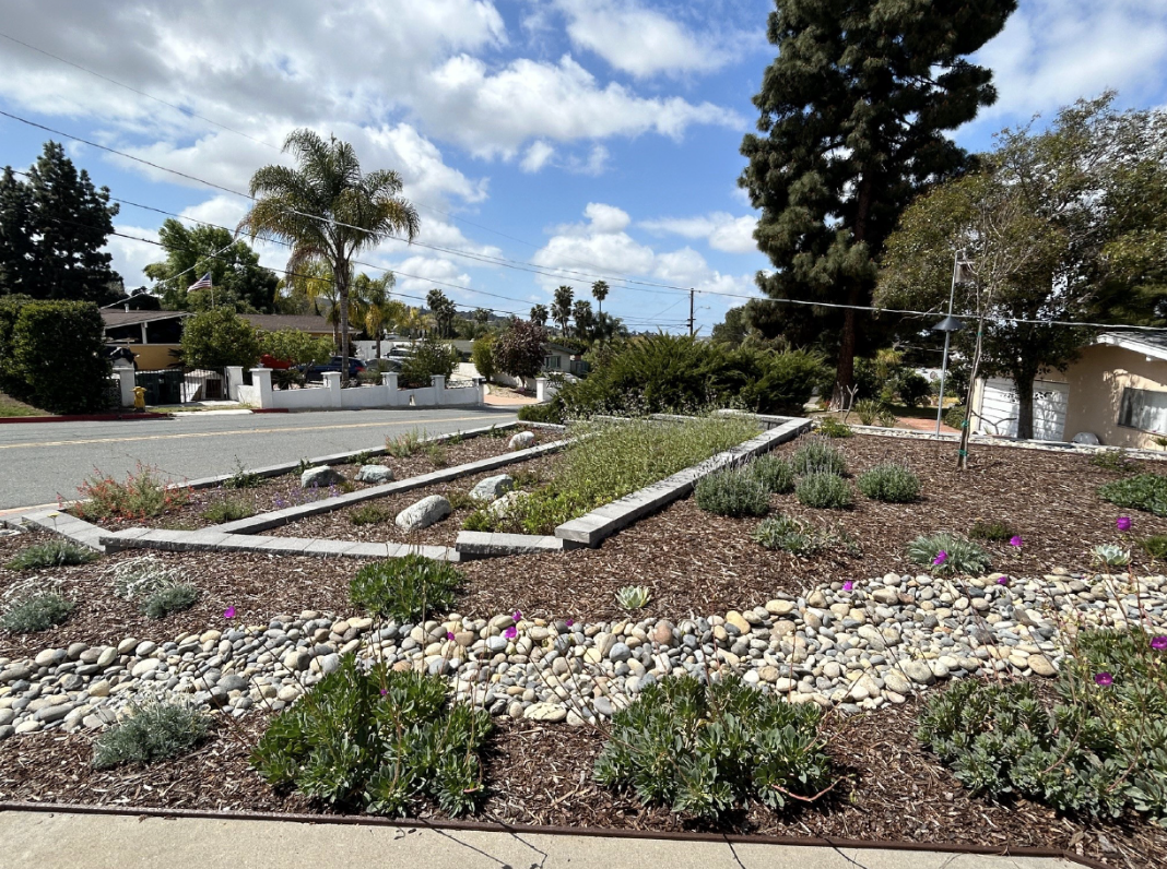 A landscaped yard featuring stones, mulch, plants, and a couple of trees, with a neighborhood visible in the background.