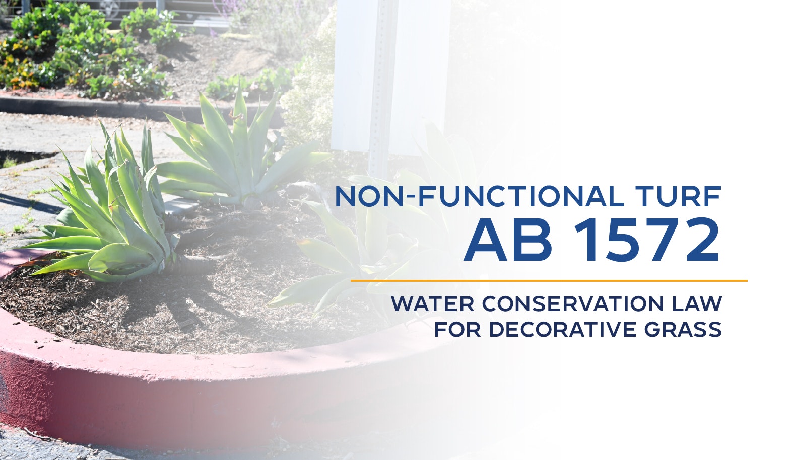 Plants in a garden bed; text: "Non-functional Turf AB 1572, Water Conservation Law for Decorative Grass."
