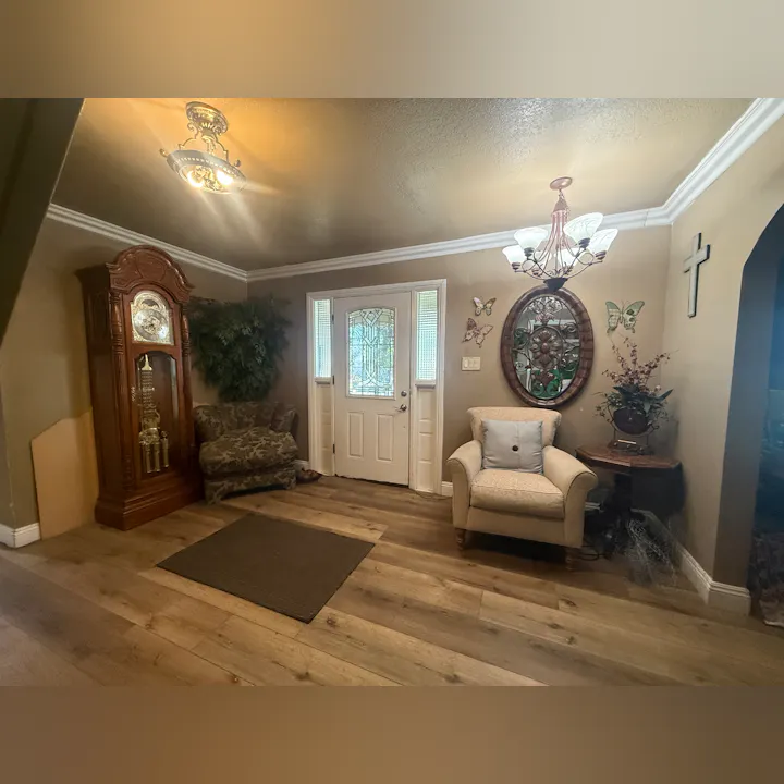 Cozy entryway featuring a grandfather clock, decorative chairs, a plant, and butterfly decor, with natural lighting from the door.