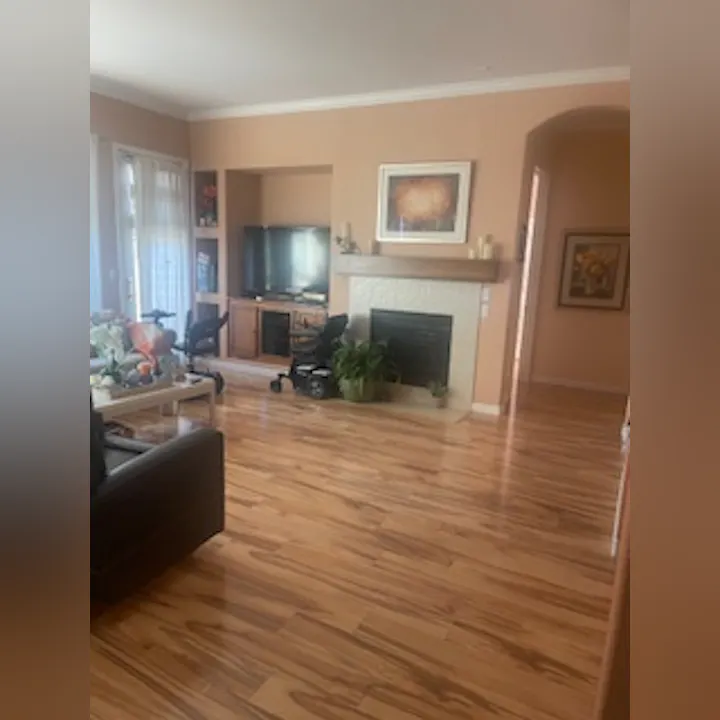 A cozy living room featuring wooden floors, a fireplace, a TV, and some plants, creating a warm and inviting atmosphere.