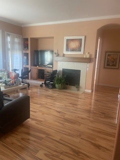A cozy living room featuring wooden floors, a fireplace, a TV, and some plants, creating a warm and inviting atmosphere.