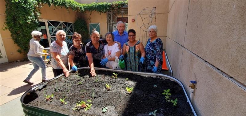 A group of people gardening together, smiling by a large planter with young plants.