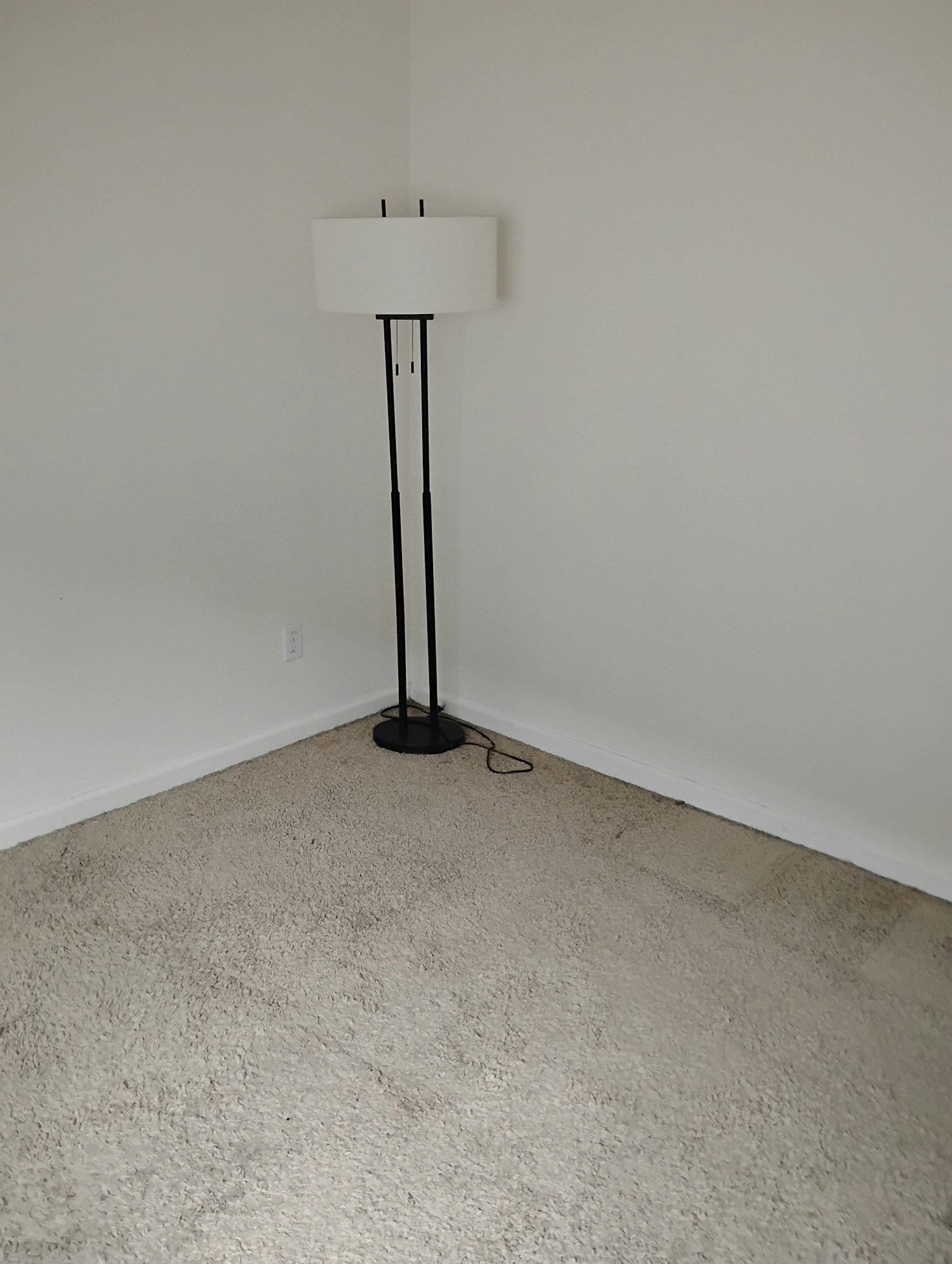 The image shows a floor lamp in a corner of a room with light-colored carpet and plain walls.