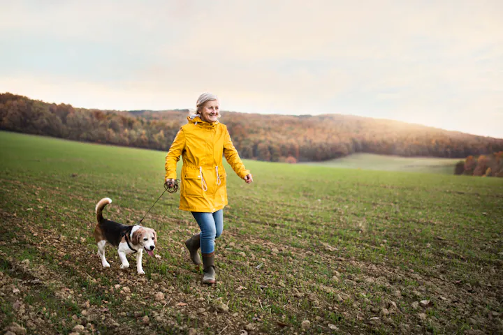 A woman in a yellow coat happily walking her dog in a field.