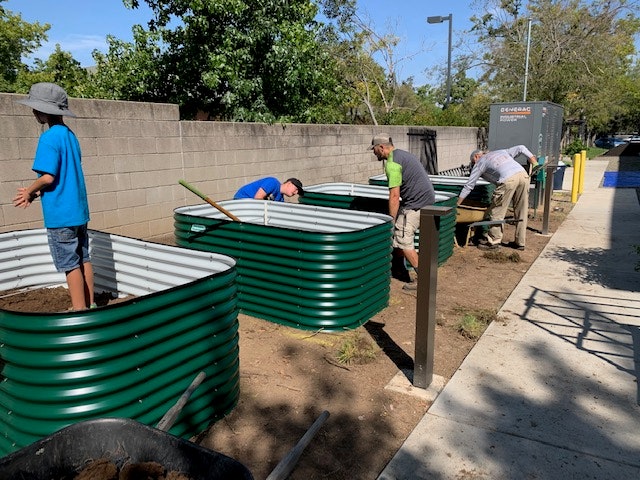 People gardening in raised green metal planters along a path.
