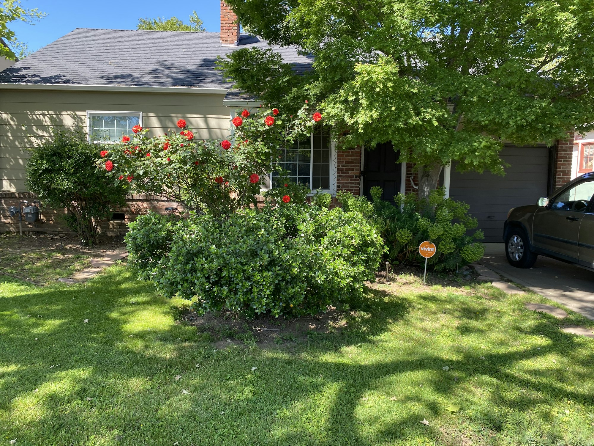 A house with a garden features red flowers, a tree, a car in the driveway, and a security sign on the lawn.
