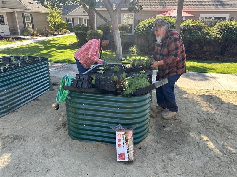 Two people in a garden are planting in raised beds, with plants and gardening supplies around.
