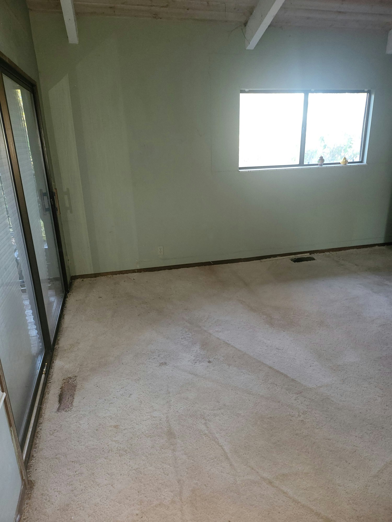 An empty room with light green walls, large glass door, small window with natural light, and carpeted floor.