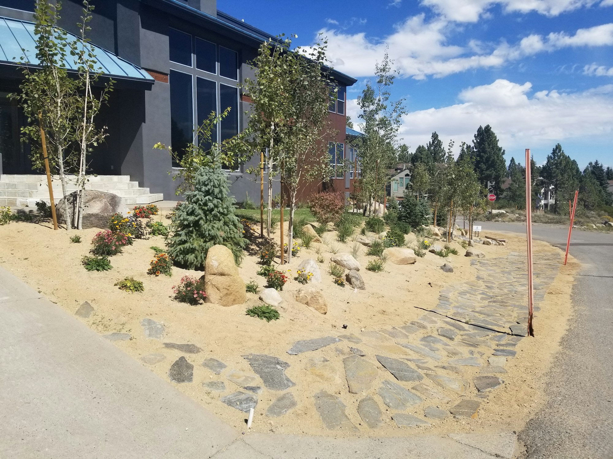 A landscaped garden with shrubs, rocks, and sandy soil next to a modern house under a blue sky.