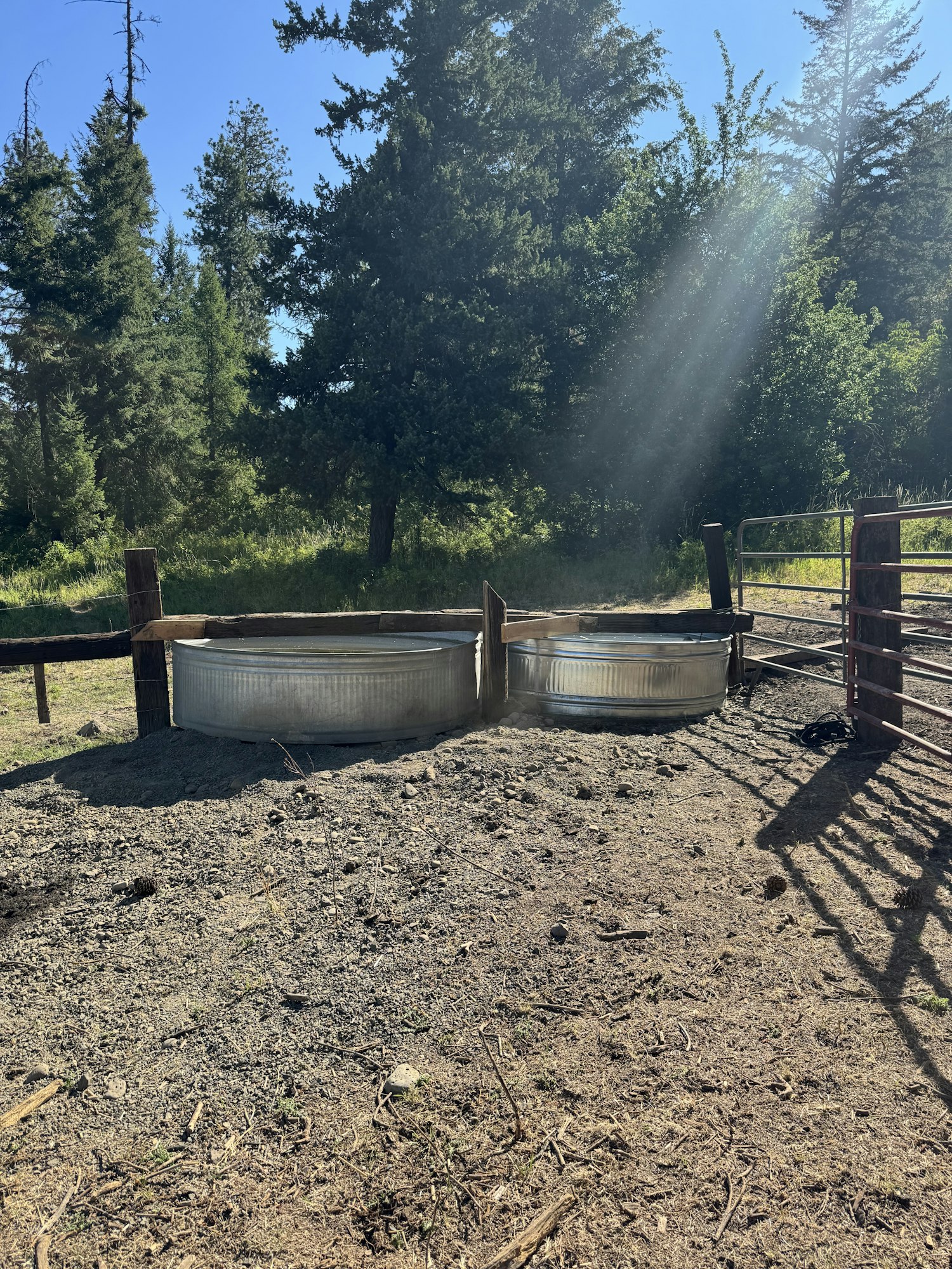 Two metal water troughs in a dirt pen with metal fencing, surrounded by trees in sunlight.