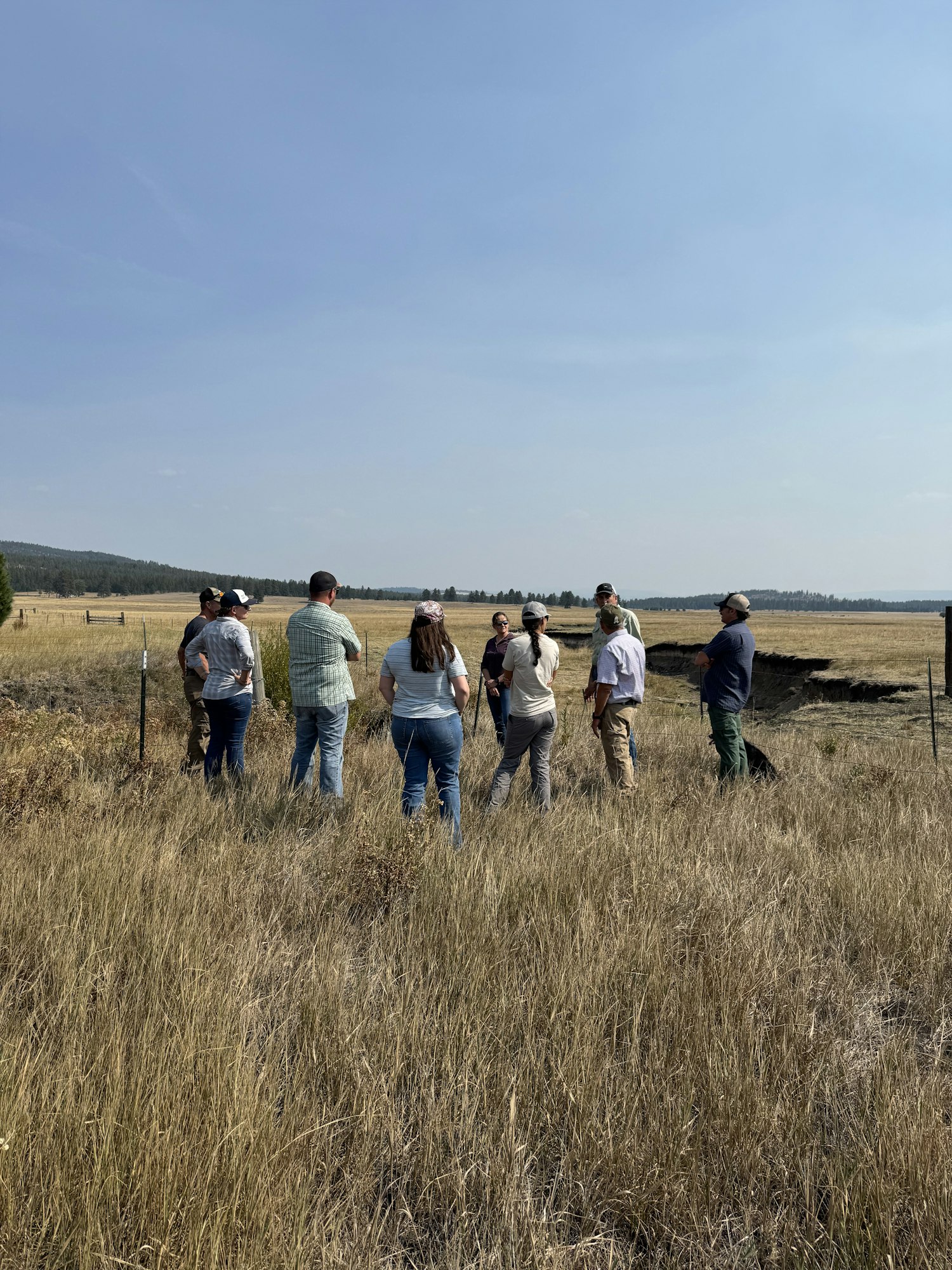 A group of people are walking in a dry, grassy field.