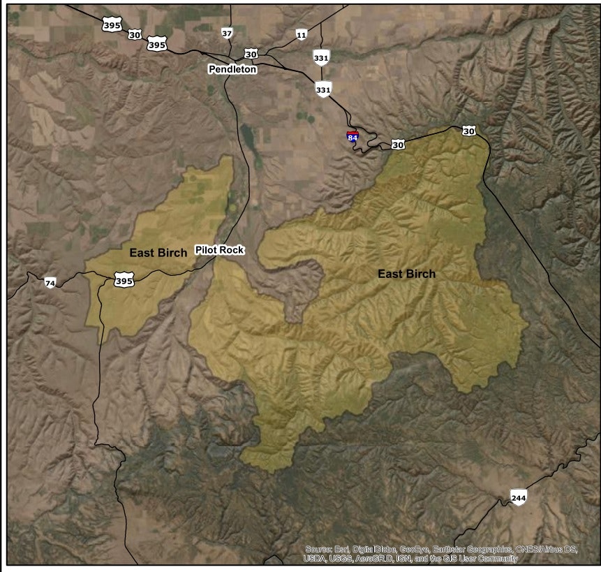 Topographic map showing terrain, roads, and place names such as East Birch and Pilot Rock.