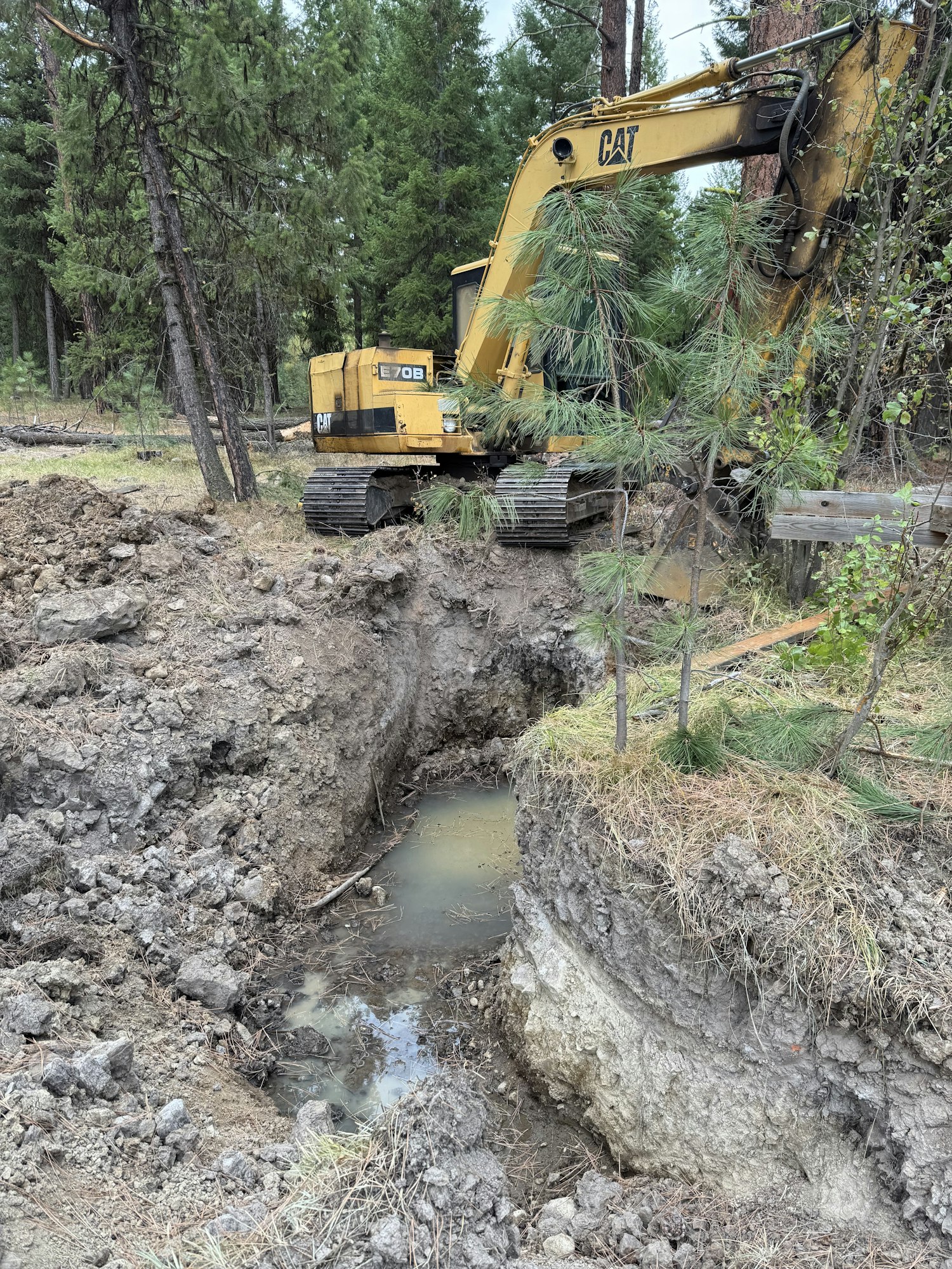 A yellow excavator is digging in a forested area, creating a muddy trench with some standing water nearby.