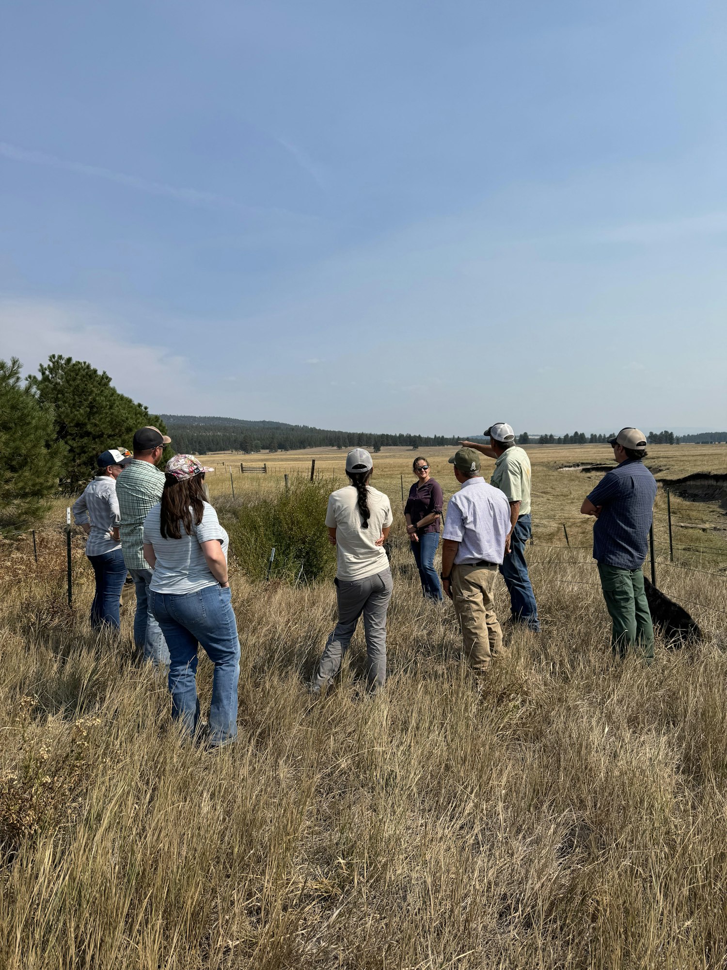 A group of people gathered outdoors, discussing something while standing in a grassy field with trees and distant hills.