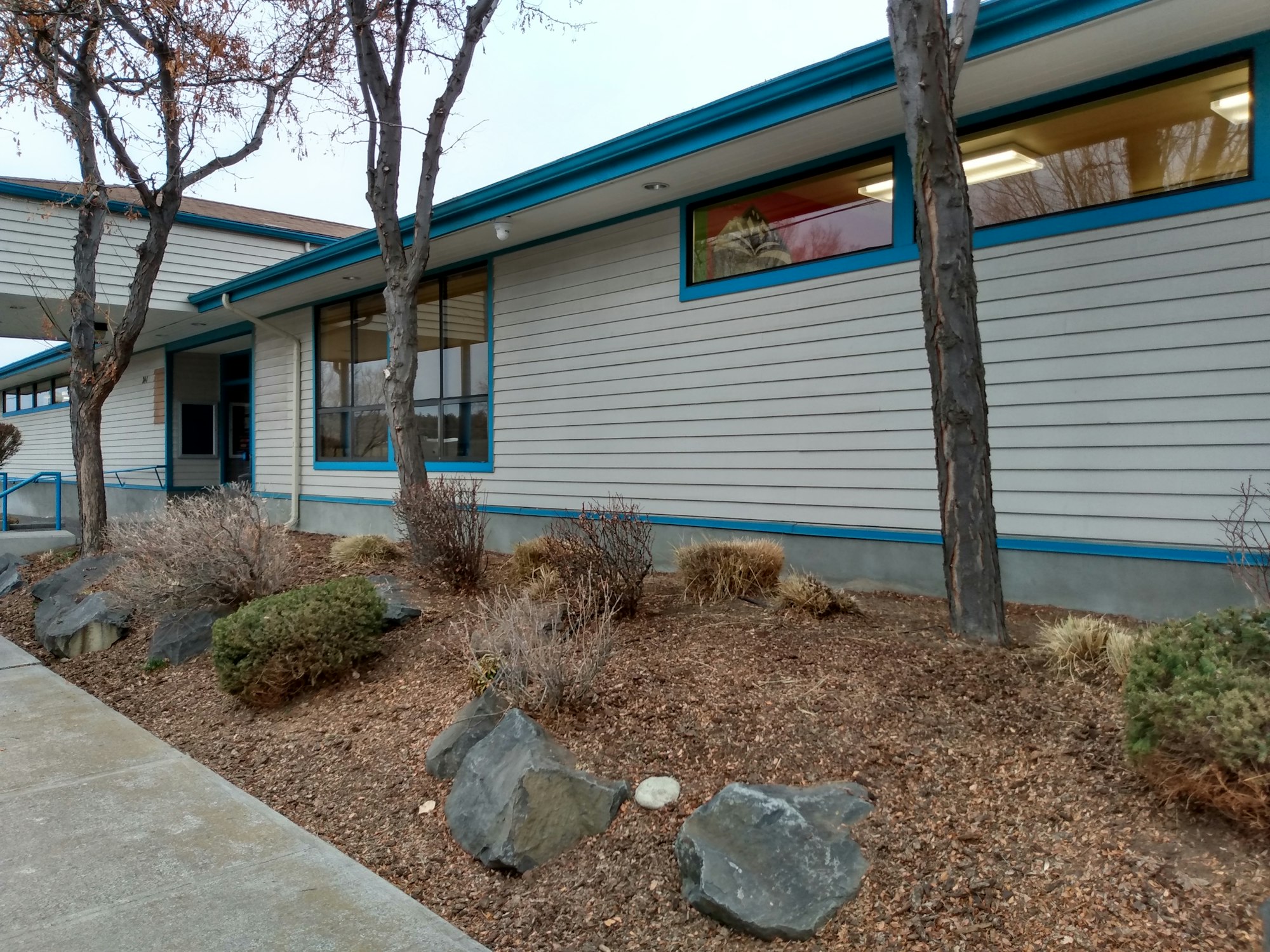 2019 Library with rocks and trees