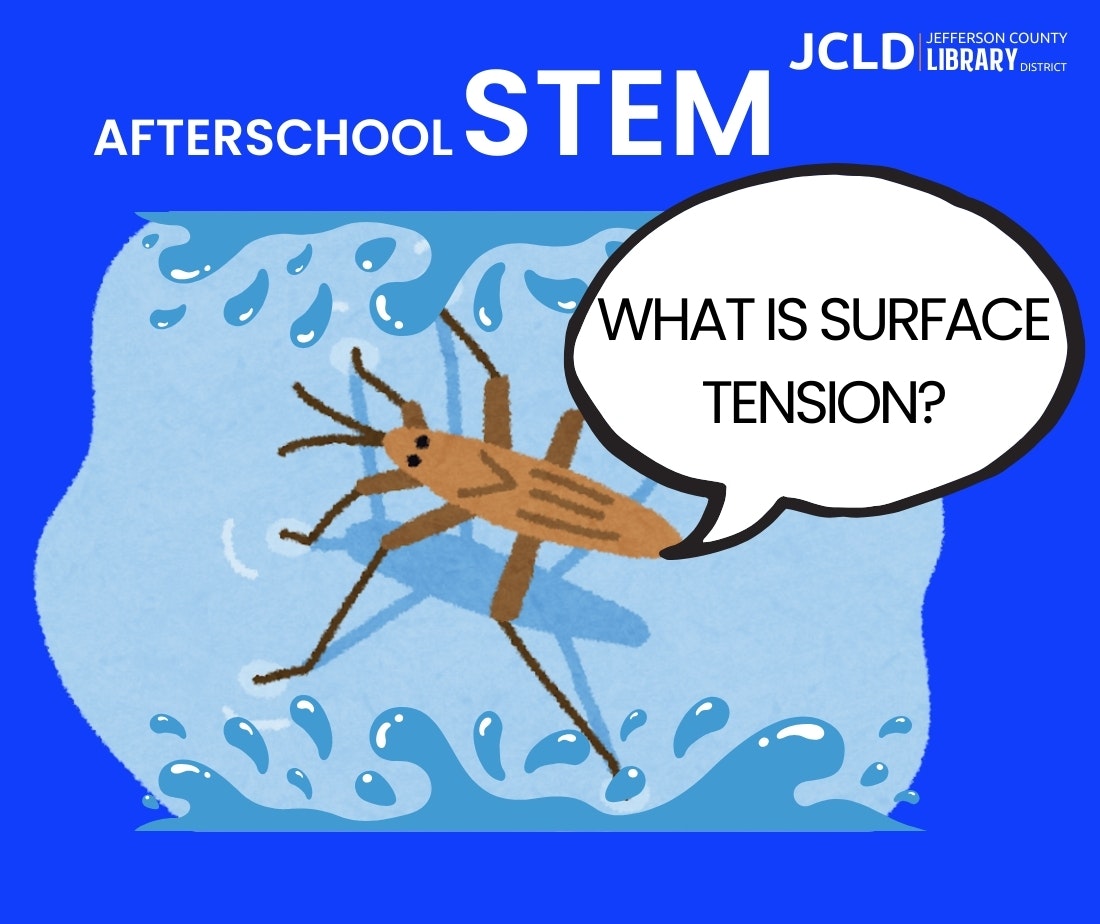 Afterschool STEM program poster with an insect asking, "What is surface tension?" from JCLD.