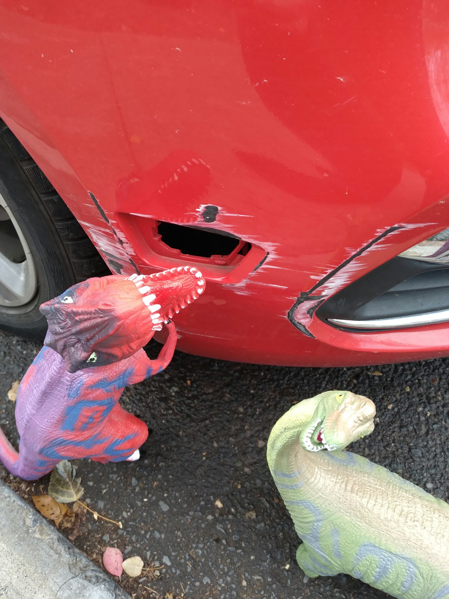 2021 Dinovember damage to car