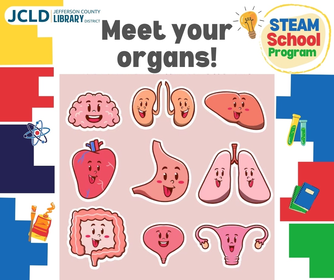 Cartoon organs with faces: brain, heart, stomach, intestines, lungs, etc. Text: "Meet your organs!" STEAM School Program by JCLD.