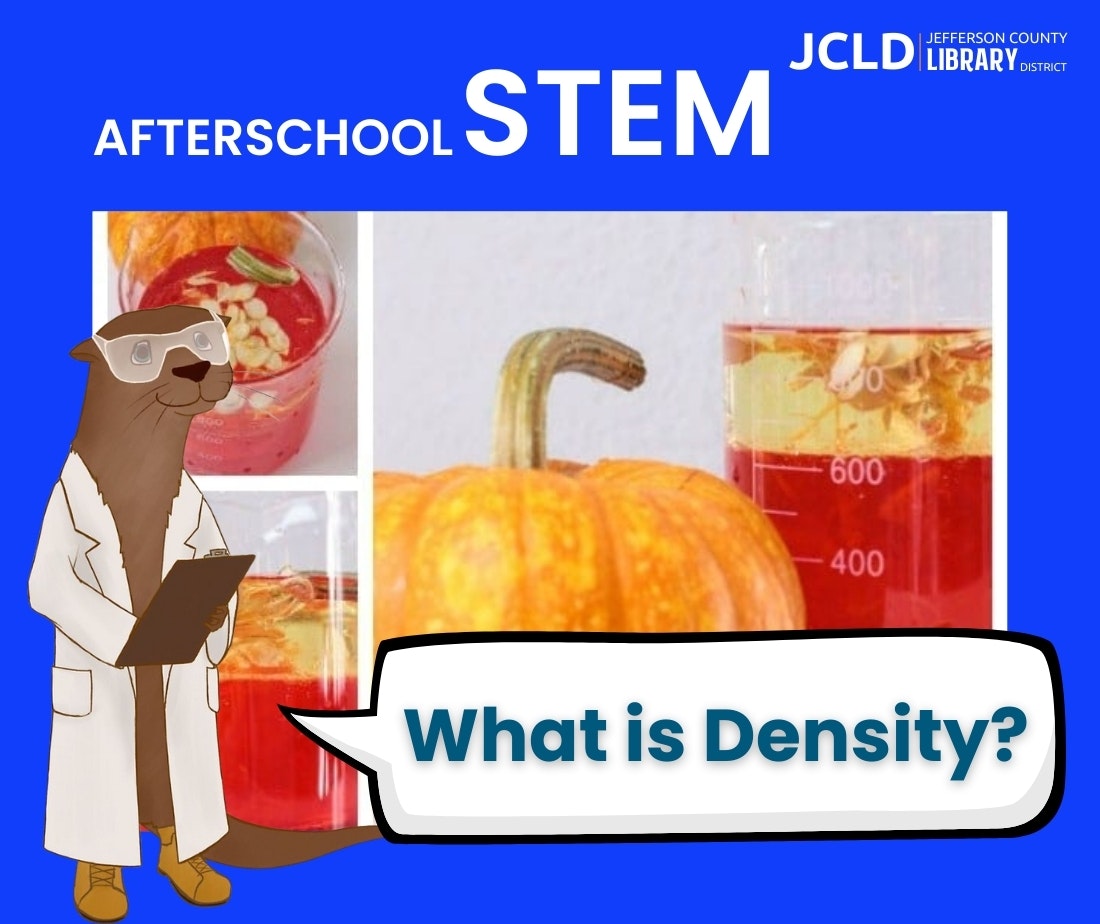 Illustration of a scientific otter, pumpkin, beaker, and text "Afterschool STEM" and "What is Density?" for a library event.