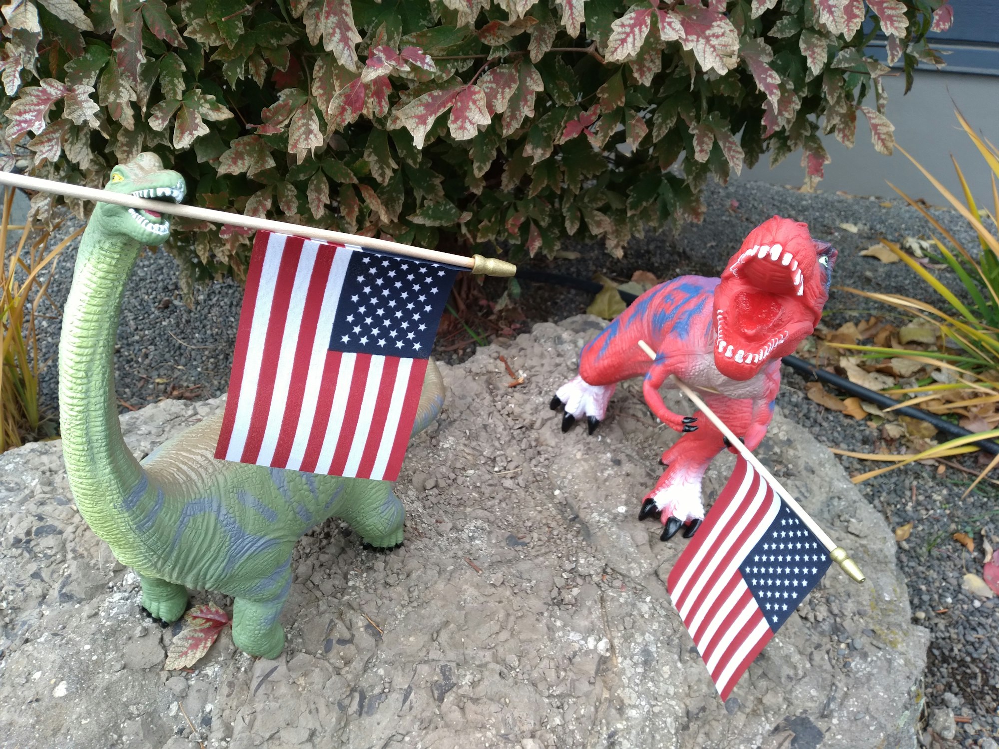 2021 Dinovember  with an American flag