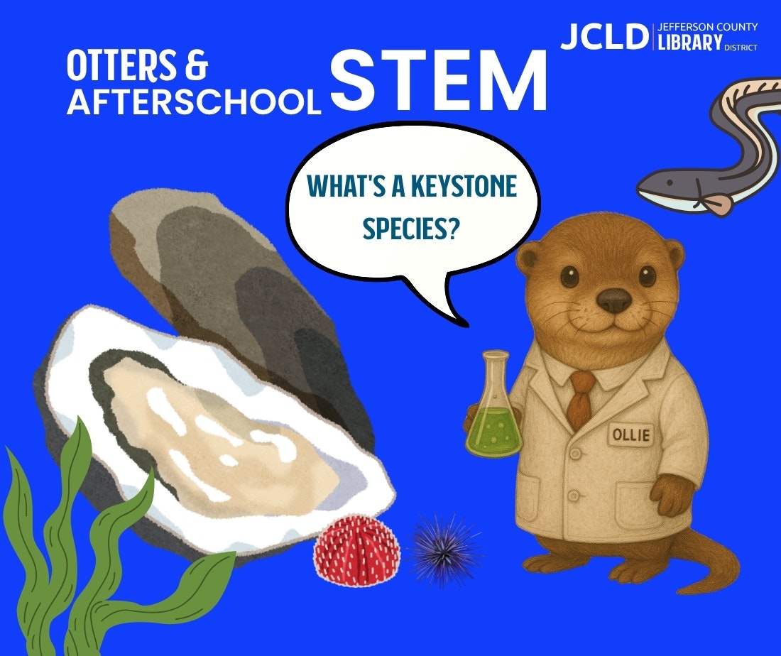 An otter named Ollie asks, "What's a keystone species?" with sea creatures and "STEM" text. Jefferson County Library logo present.