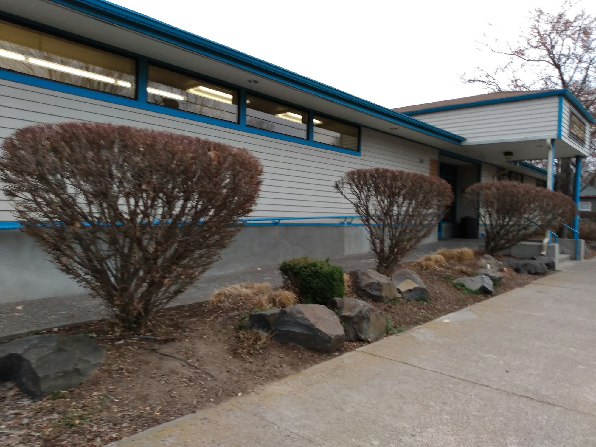 2019 Library with walkway and bushes