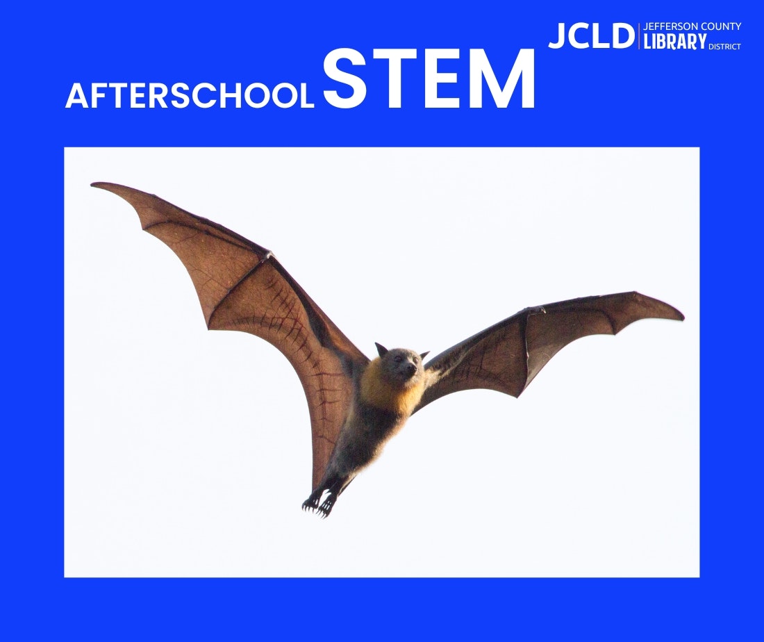 A flying bat on a blue background with "AFTERSCHOOL STEM" text above it.